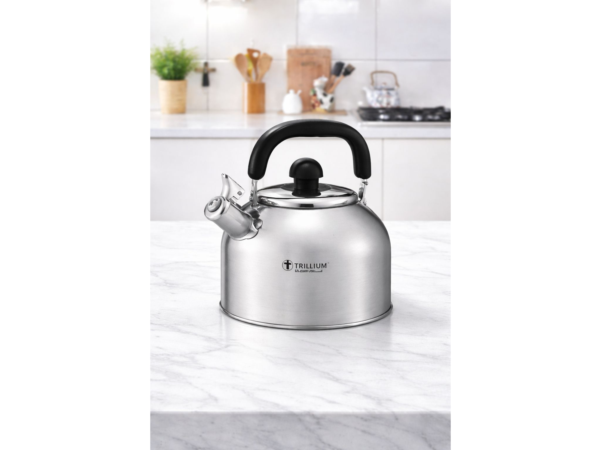 Pava de acero silbadora 3.8l