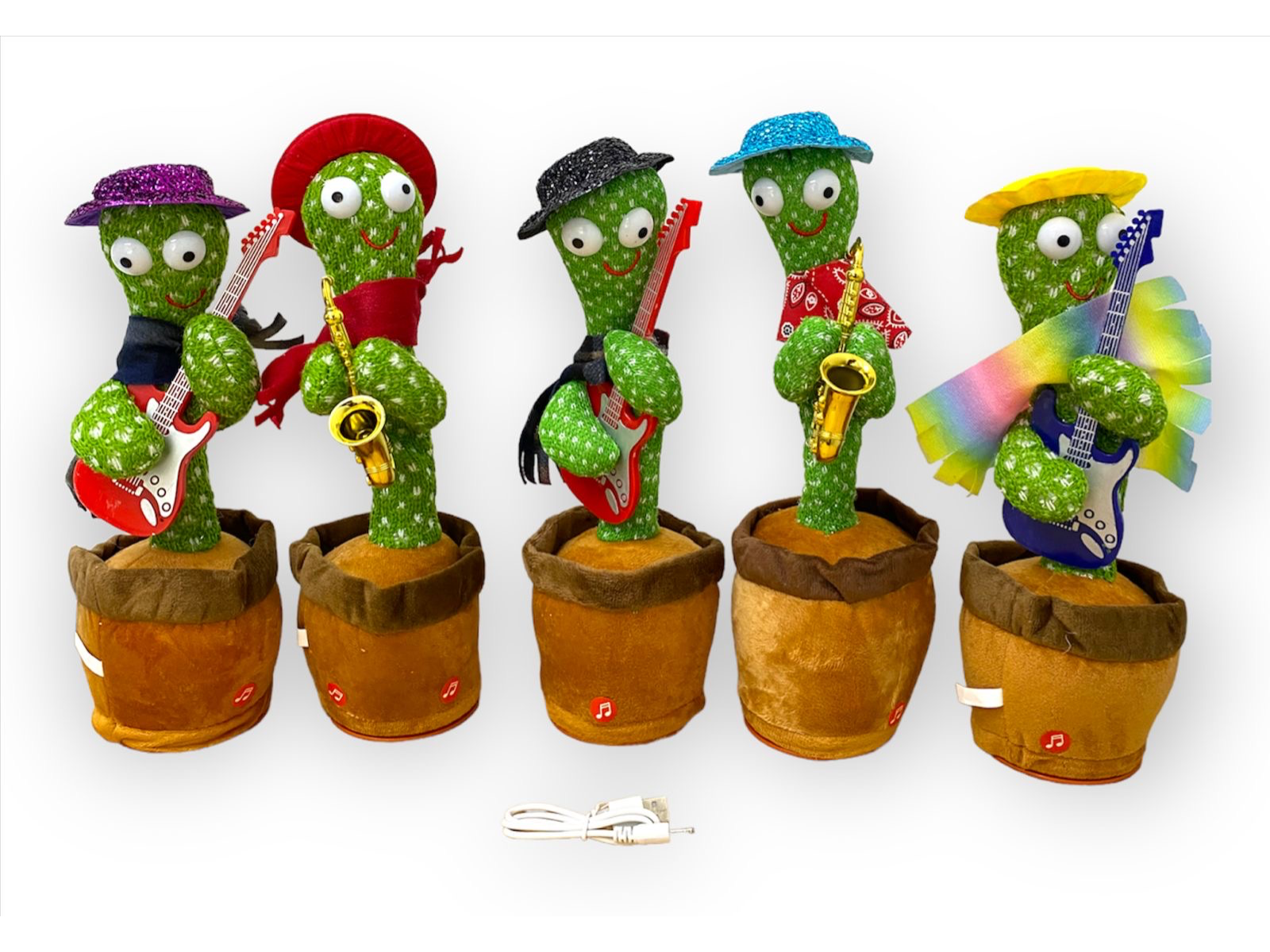 Cactus Bailarin oscar