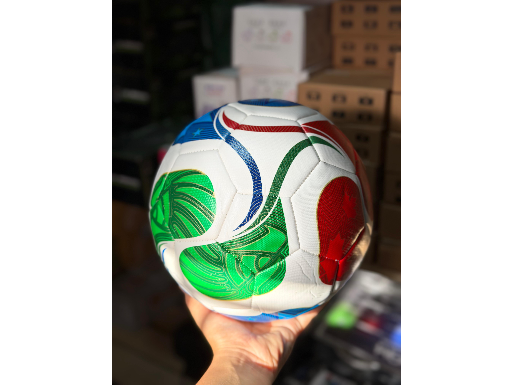 Pelota del mundial