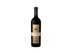 Septima 10 Barricas Malbec x 750ml