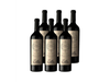 El Gran Enemigo Agrelo cabernet franc caja x6