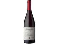 Escorihuela Gascón Pinot Noir x 750ml