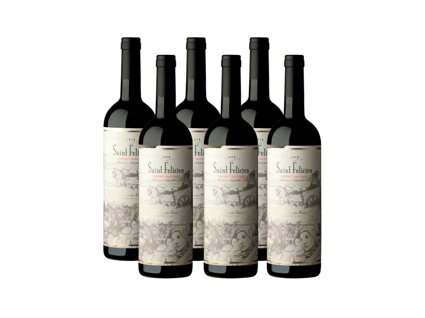 Saint felicien cabernet franc caja x6