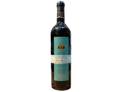 Septima 10 Barricas Cabernet Franc x 750ml