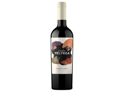 Tierra Telteca Cabernet Franc x 750ml