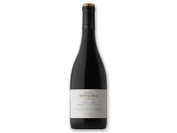 Septima Obra Reserva Pinot Noir x 750ml