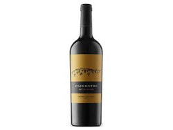 Encuentro Cabernet Sauvignon x 750ml