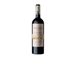 Septima Tierra Chacayes x 750ml