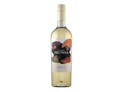 Tierra Telteca Chardonnay x 750ml