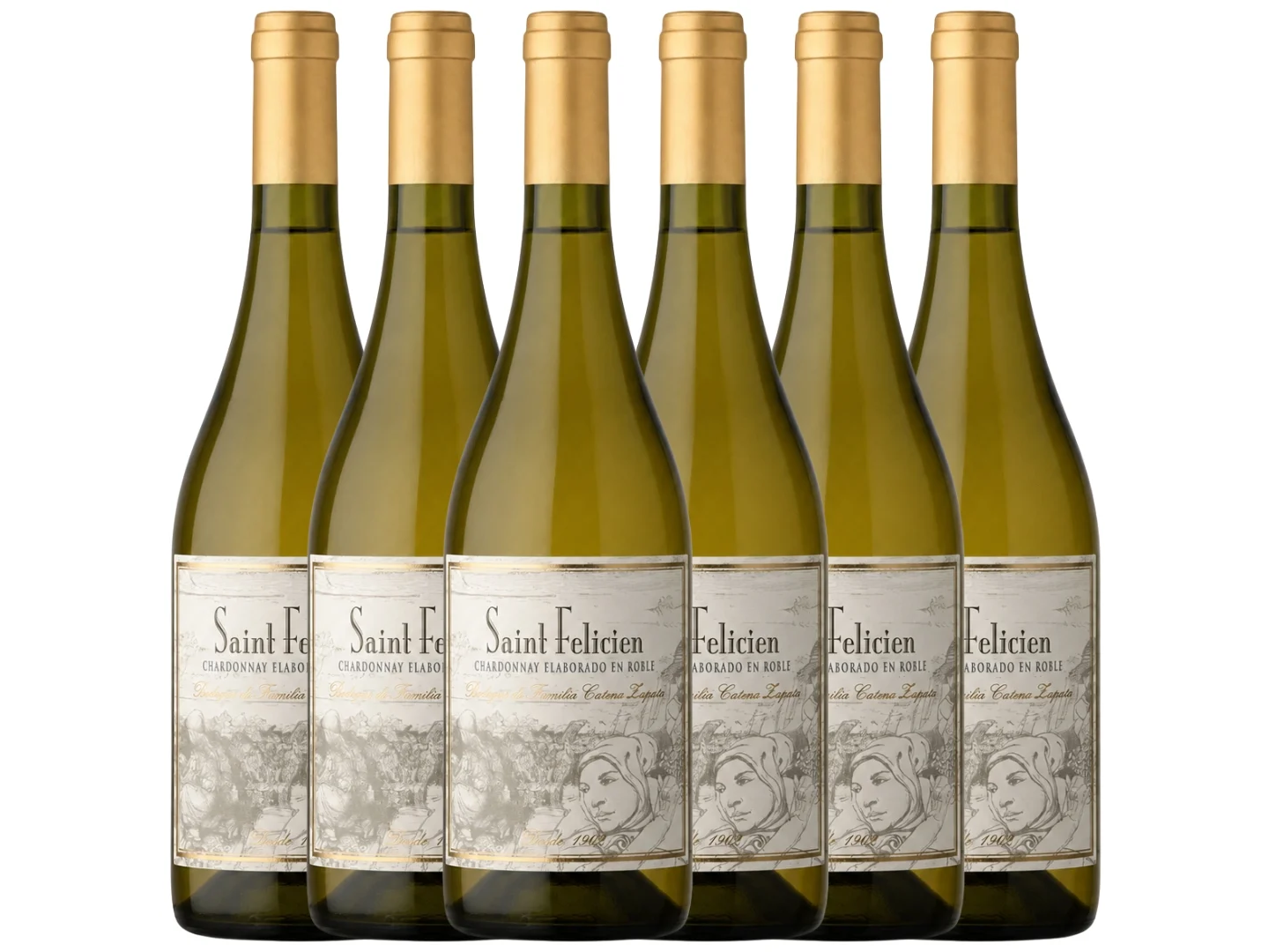 Saint felicien chardonnay caja x6