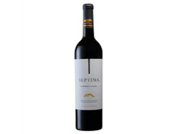 Septima Emblema Cabernet Franc x 750ml