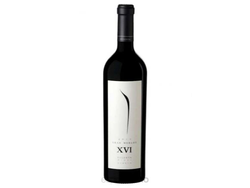 Pulenta Estate Gran Merlot x 750ml