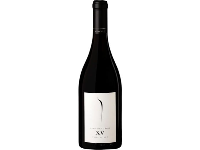 Gran Pinot Noir (XV)