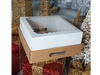 BOX CON TAPA KRAFT LISA X UN
