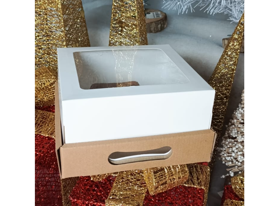 BOX CON TAPA VISOR KRAFT X UN