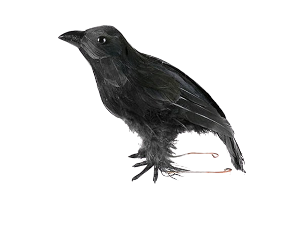 CUERVO DE PLUMAS 12X17X7 CM