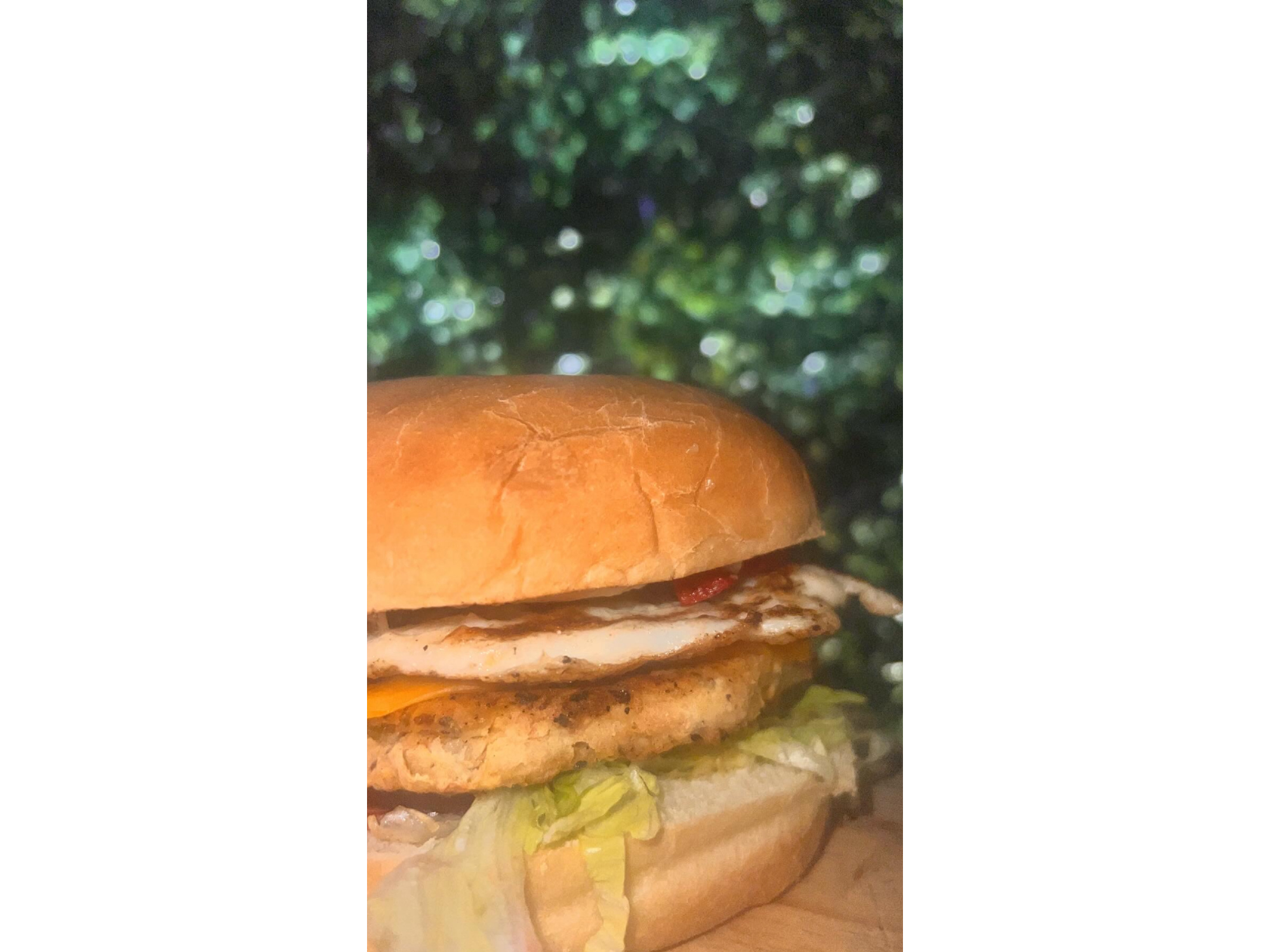 Hamburguesa veggie
