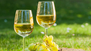 Vinos Blancos