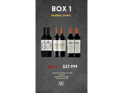Box 1 Malbec Jovenes