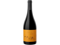 Emma Zuccardi