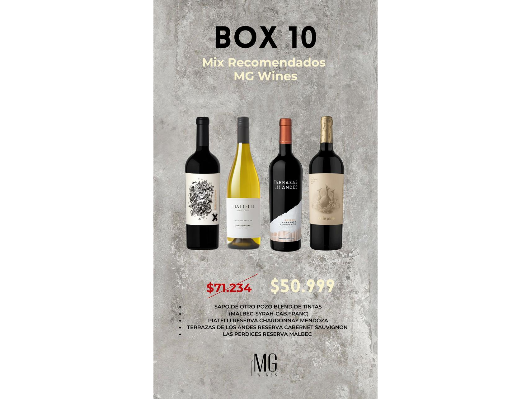BOX 10 MIX RECOMENDADOS MG WINES