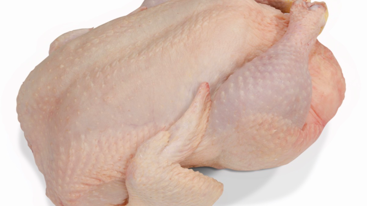Pollo
