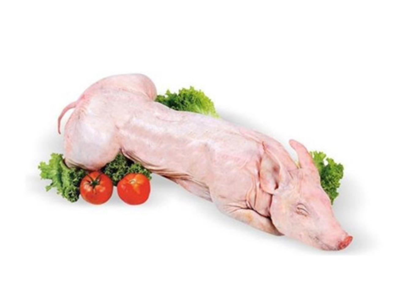 Lechon 12kg
