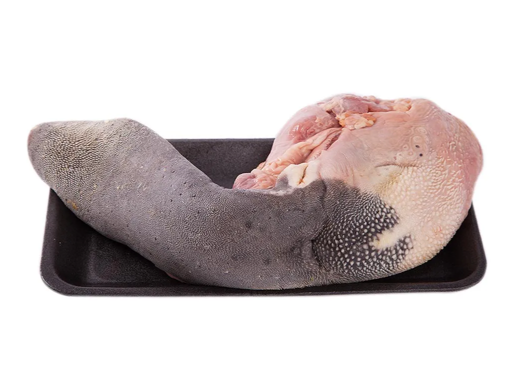 Lengua