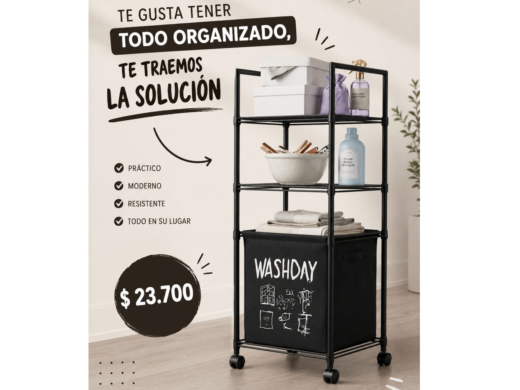 ORGANIZADOR