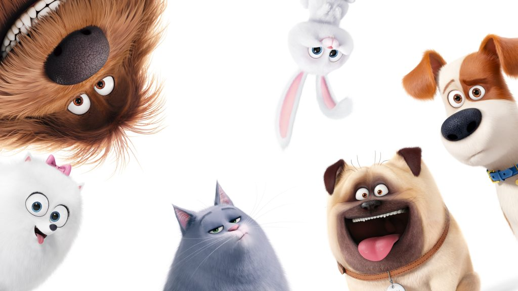 PET SHOP