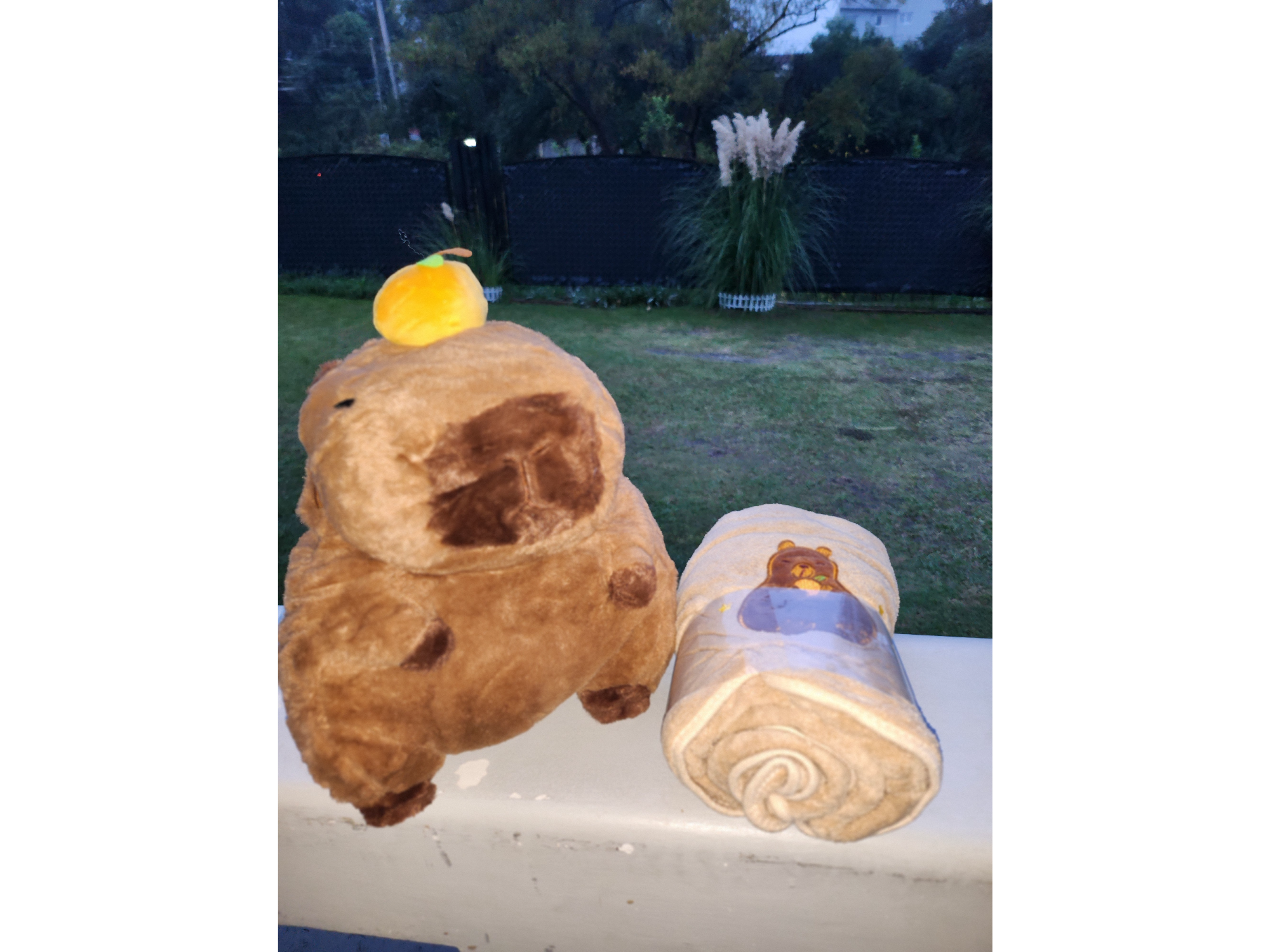 Capibara Mandarina con Manta