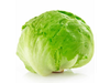 lechuga repollada