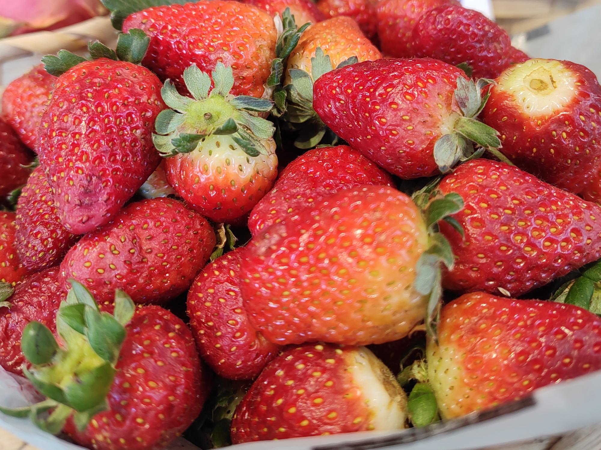 Frutilla