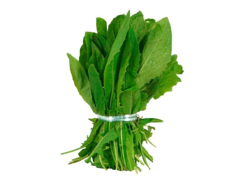 achicoria