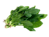 espinaca