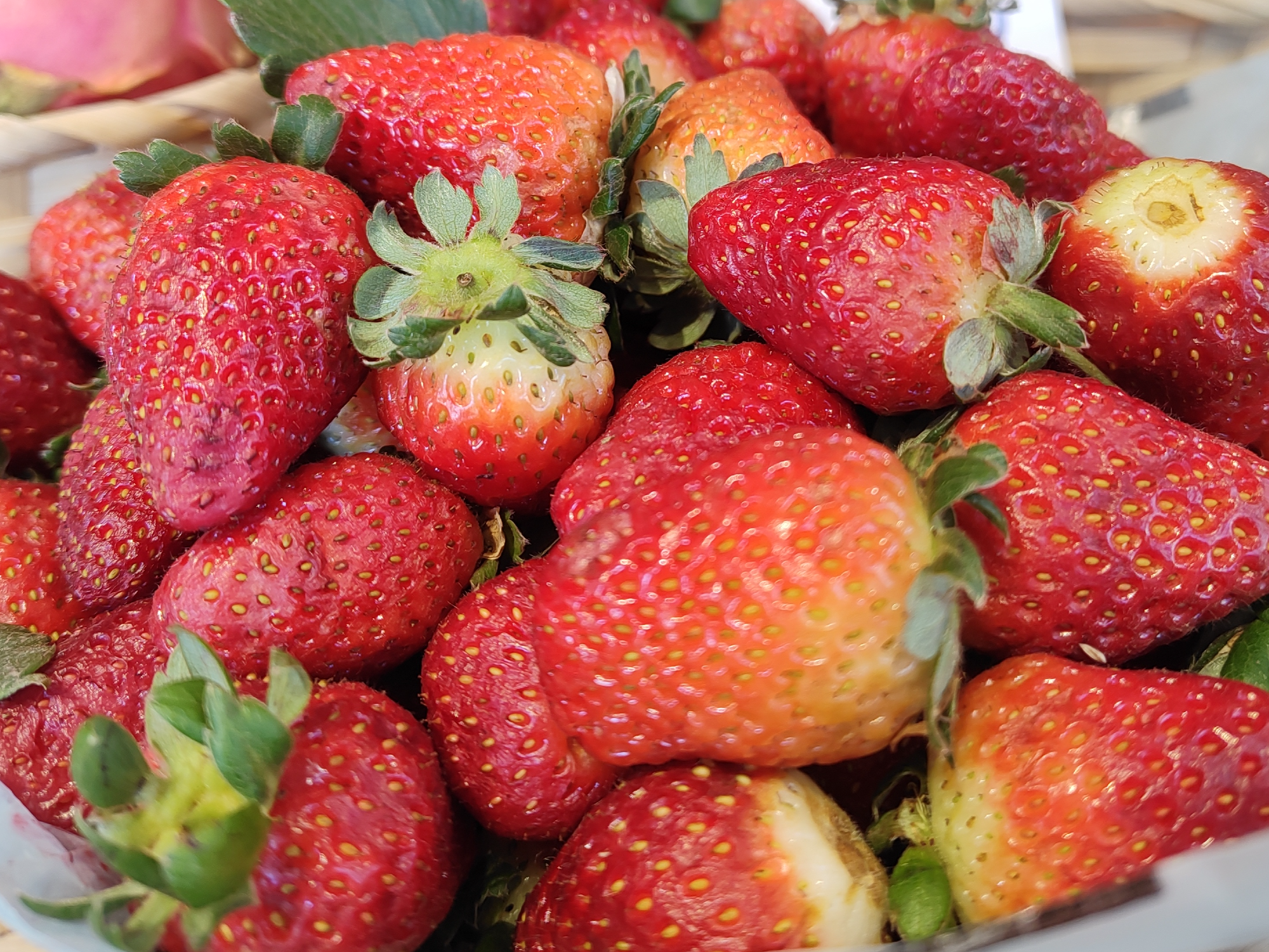 Frutilla