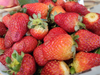 Frutilla