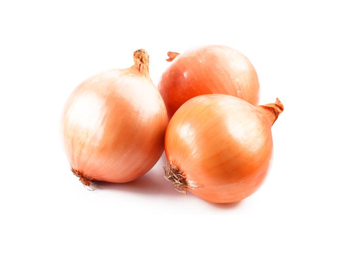 cebolla