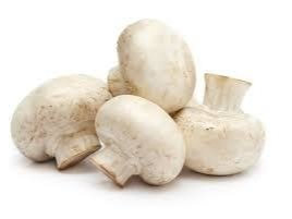 champignon