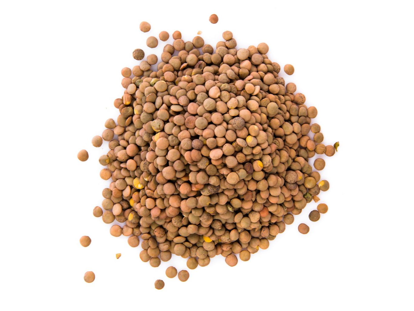 lentejas x 500gr
