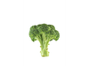 brócoli