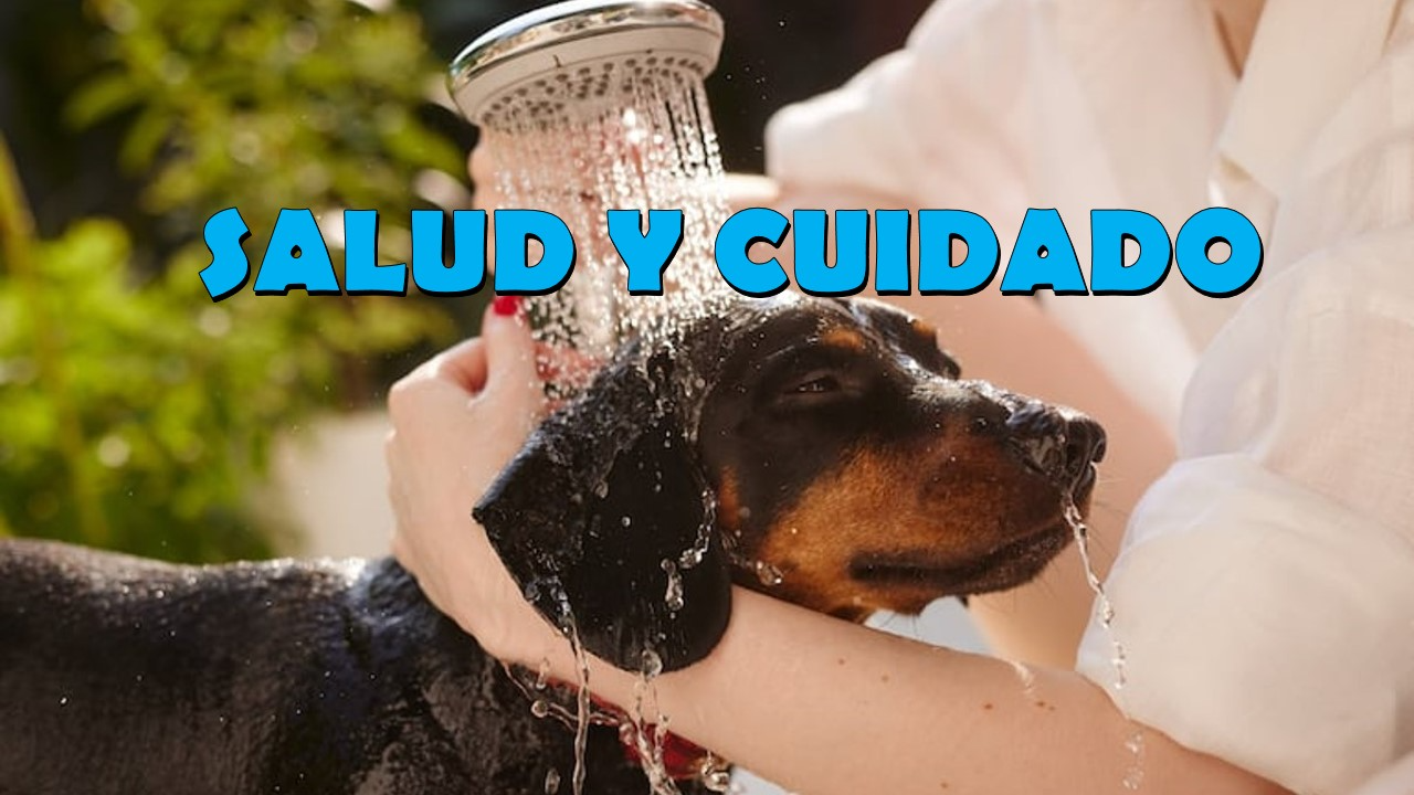 SALUD Y CUIDADO