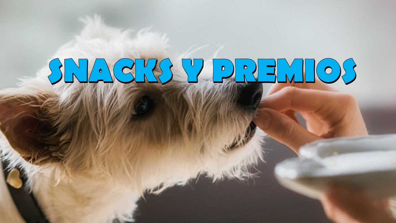 SNACKS Y PREMIOS