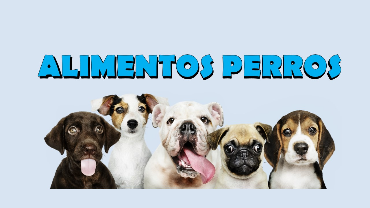 ALIMENTOS PERROS