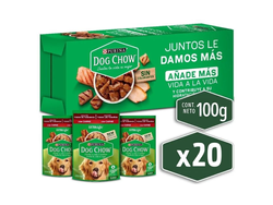 Caja Sachet Dog Chow 100gr x20unidades