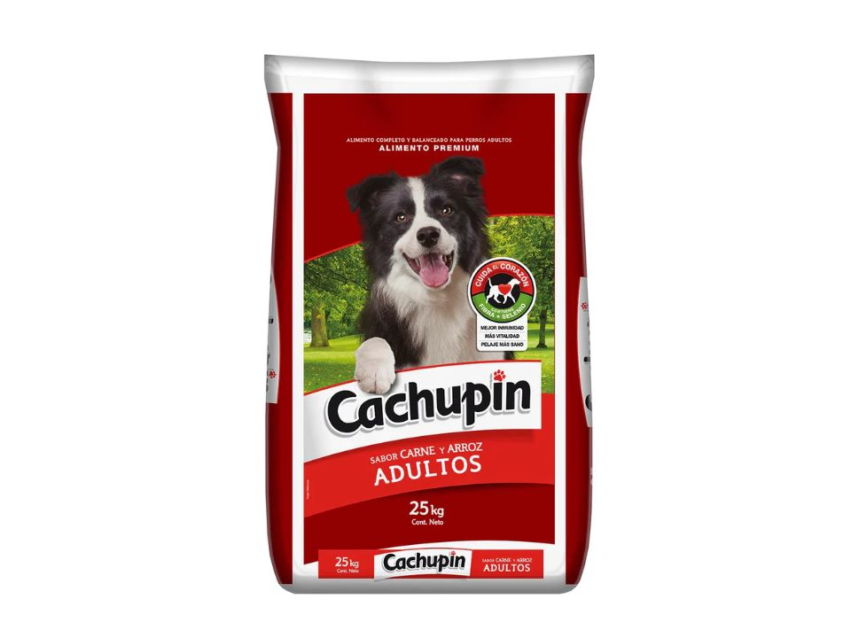 Cachupin Adulto Carne 25kg