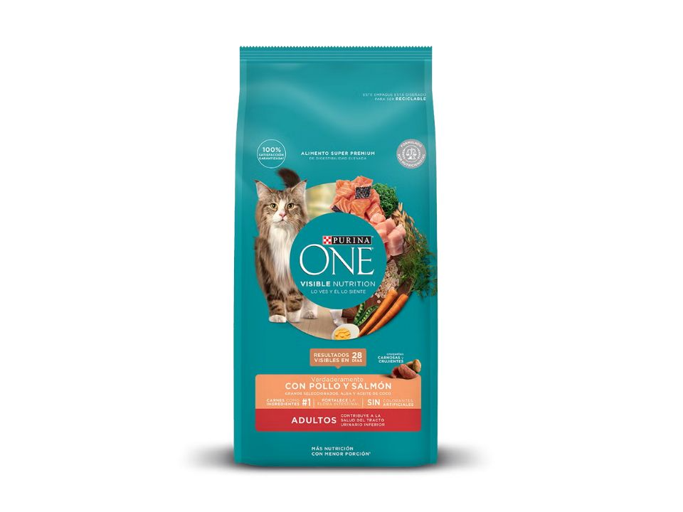 One adulto Pollo Salmón