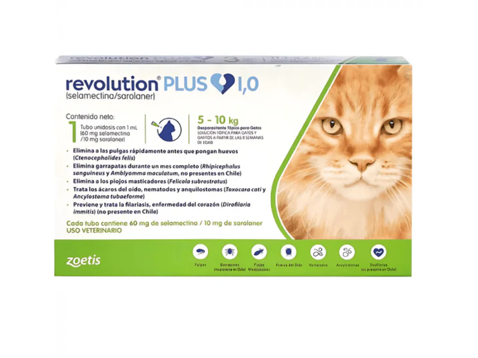 Pipeta Revolution Plus 5 - 10kg (1ml)