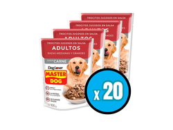 Caja Sachet Master Dog 100gr x20unidades