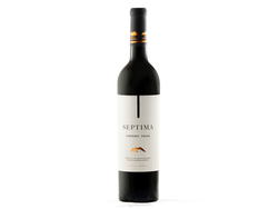 SEPTIMA OBRA PINOT 750 CC